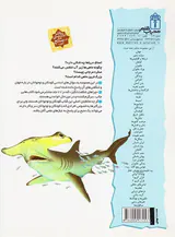 چراهای شگفت انگیز دریاها و اقیانوس ها